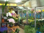 「吉川生花店」　（奈良県生駒郡斑鳩町）の花屋店舗写真2